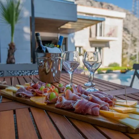 Villa Ctma236/ Modern Decorated With Private Pool Makarska